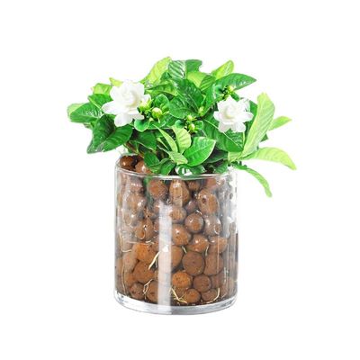 Leichtgewichtige braune Kugeln Garten Erweiterte Ceramsite Gartenbau LECA Tonpellets 50L Tasche