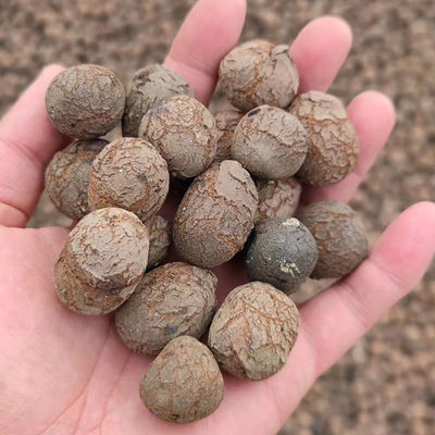 Hydroponics LECA produziert leichte braune Kugeln für den Gartenbau
